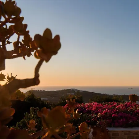 Anna-marie 1 וילה